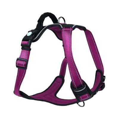 Huskimo Harness Ultimate Aurora - Just For Pets Australia