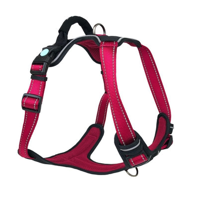 Huskimo Harness Ultimate Uluru - Just For Pets Australia