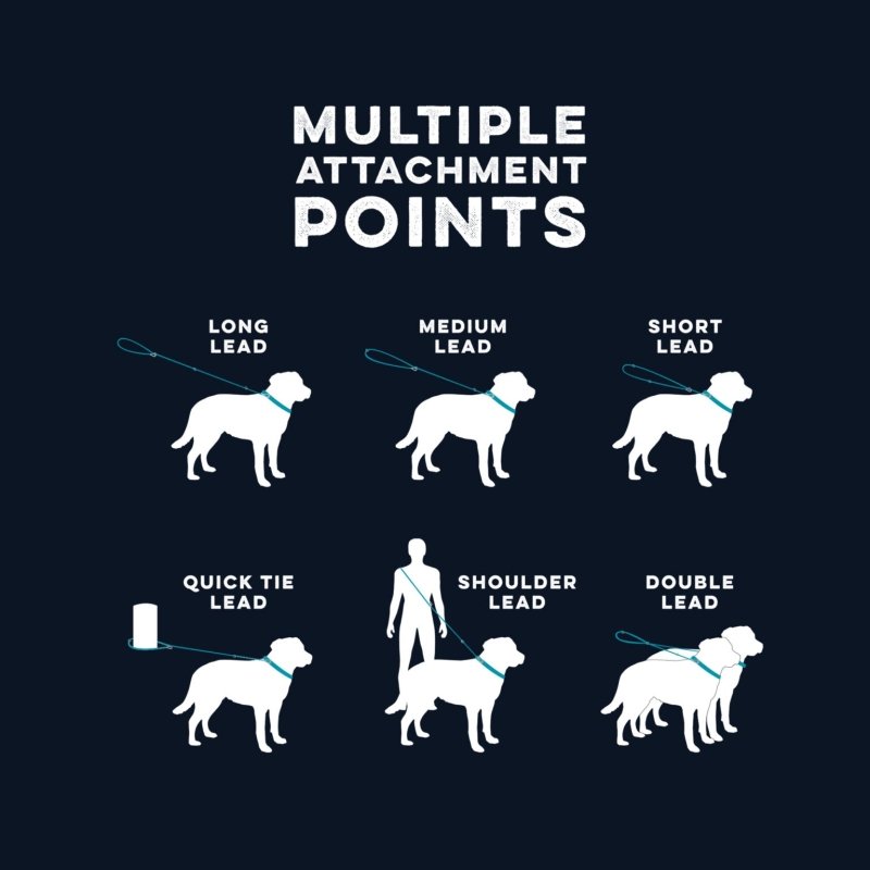 Huskimo Lead Multi Lead