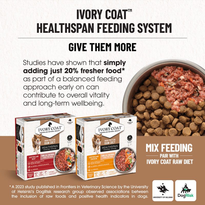Ivory Coat Chicken Grain Free Dry Dog Food