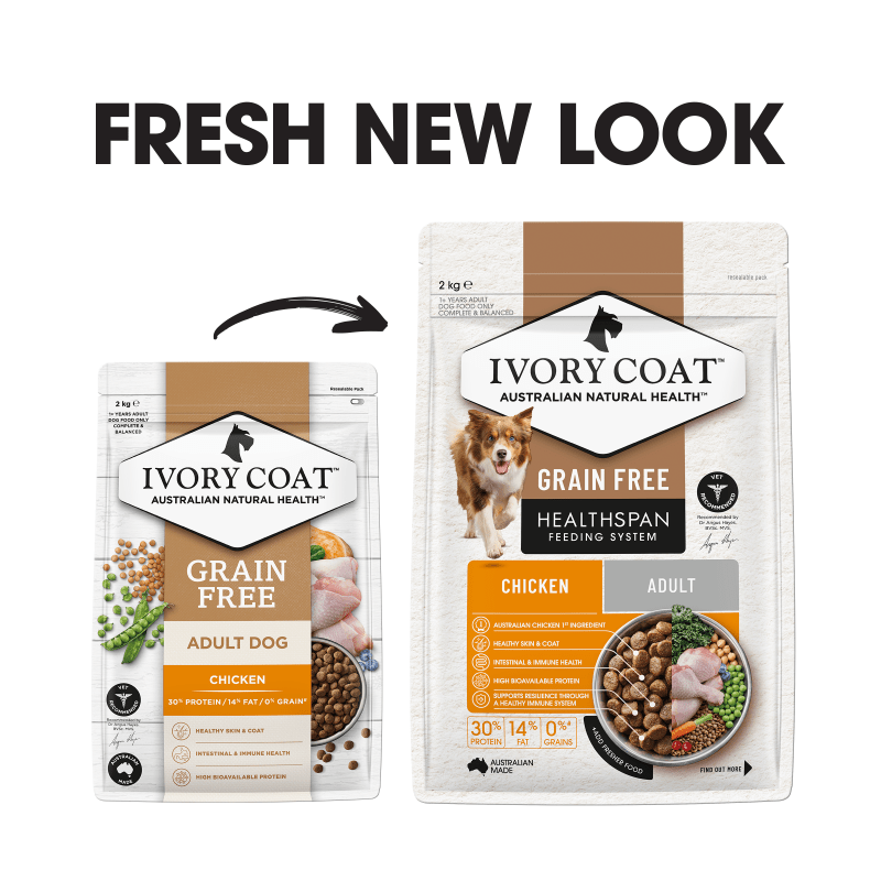 Ivory Coat Chicken Grain Free Dry Dog Food