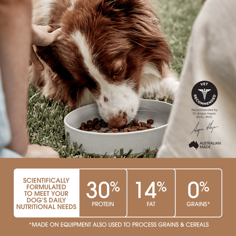 Ivory Coat Chicken Grain Free Dry Dog Food