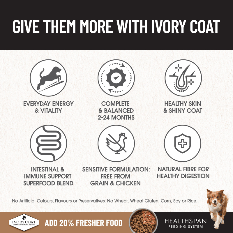 Ivory Coat Grain Free Large Breed Dry Puppy Food Lamb