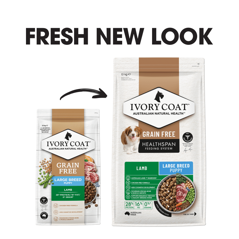 Ivory Coat Grain Free Large Breed Dry Puppy Food Lamb