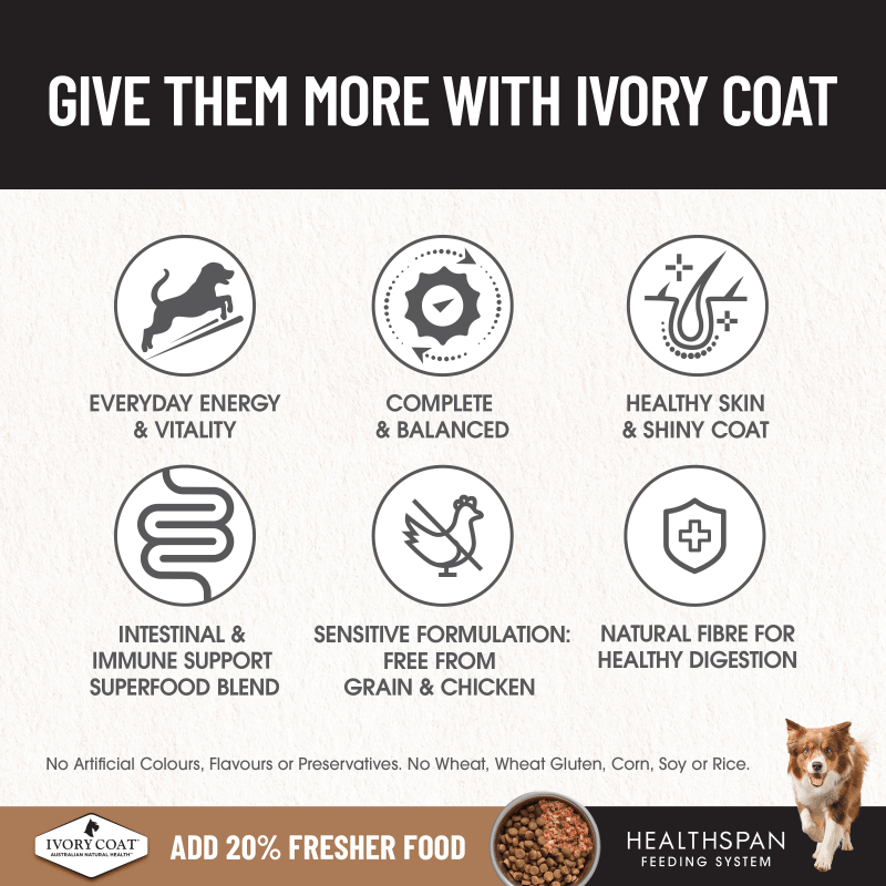 Ivory Coat Grain Free Large Breed Lamb Dry Dog Food
