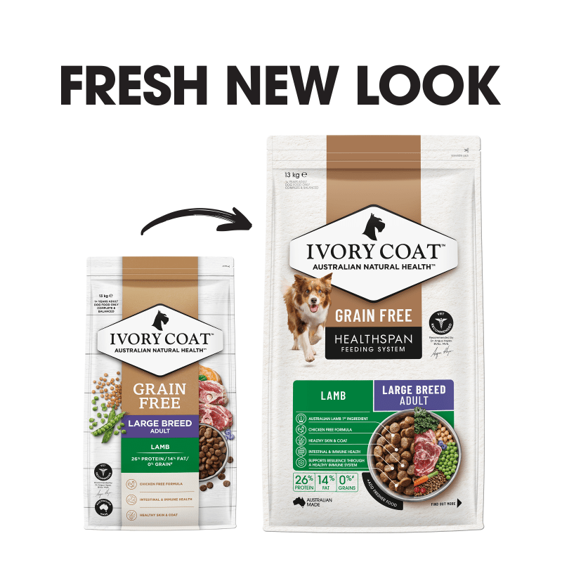 Ivory Coat Grain Free Large Breed Lamb Dry Dog Food