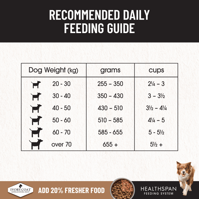 Ivory Coat Grain Free Large Breed Lamb Dry Dog Food