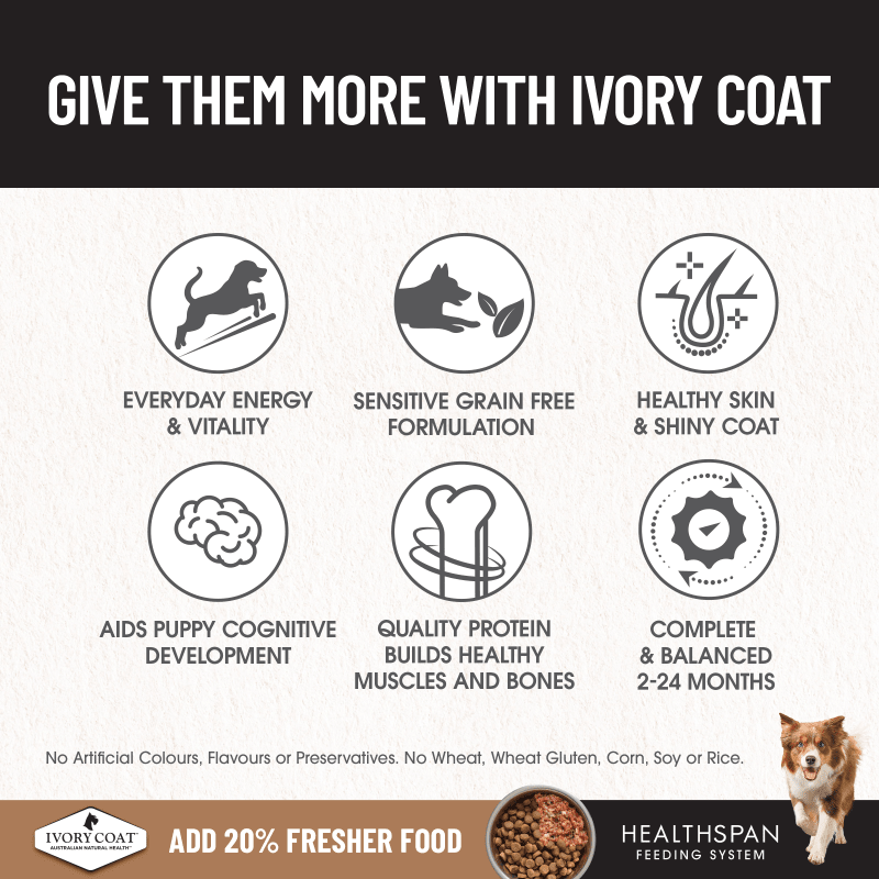 Ivory Coat Grain Free Puppy Chicken
