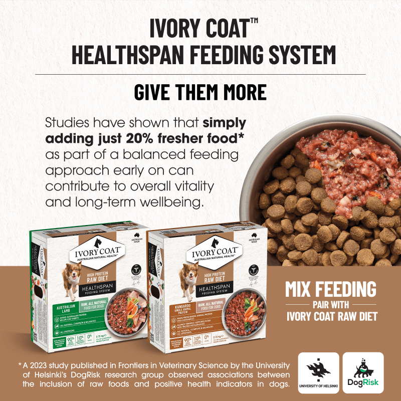 Ivory Coat Lamb & Kangaroo Grain Free Dry Dog Food