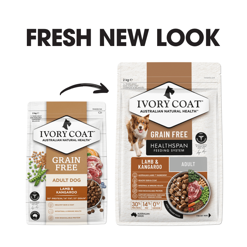 Ivory Coat Lamb & Kangaroo Grain Free Dry Dog Food
