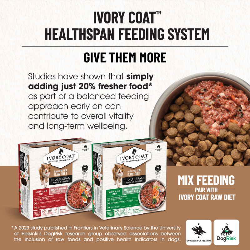 Ivory Coat Lamb & Sardine Grain Free Dry Dog Food