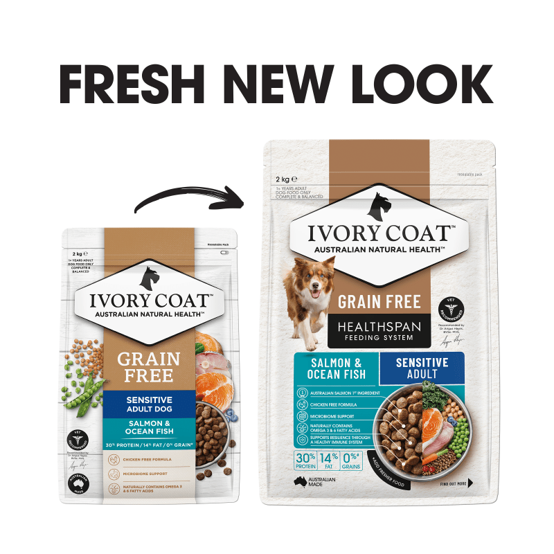 Ivory Coat Ocean Fish & Salmon Grain Free Dry Dog Food