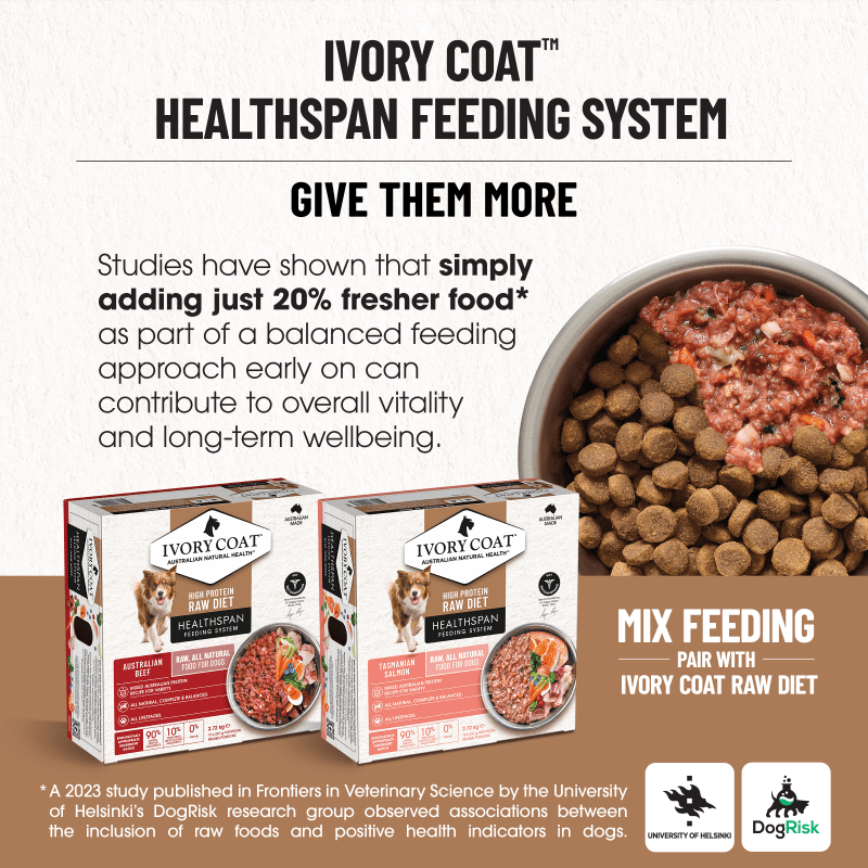 Ivory Coat Ocean Fish & Salmon Grain Free Dry Dog Food