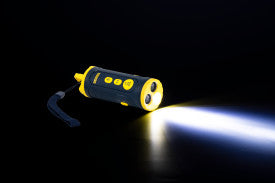 PetSafe Collarless Trainer