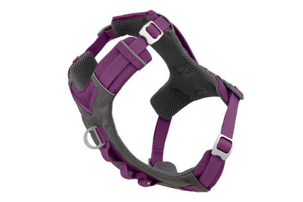 Kurgo Journey Air Dog Harness – Just For Pets Australia