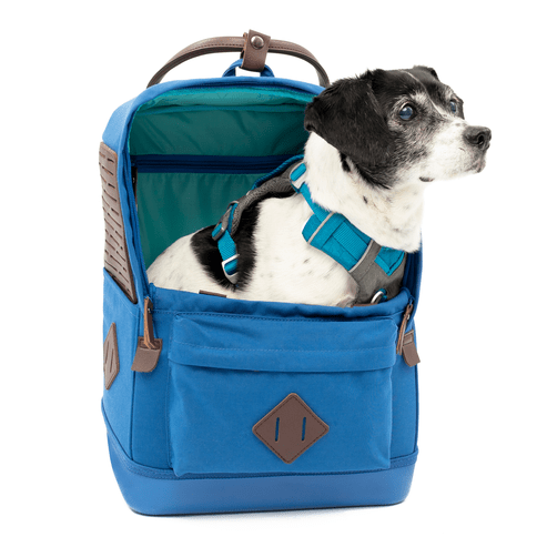 Kurgo Nomad Dog Carrier Backpack