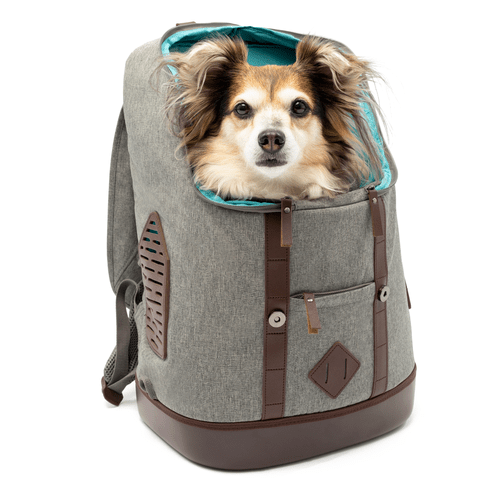 Kurgo Rucksack Dog Carrier