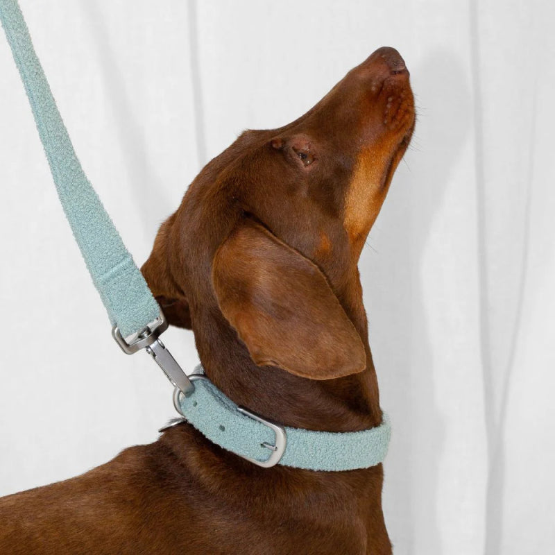 Lilly + Dash Collar Sage