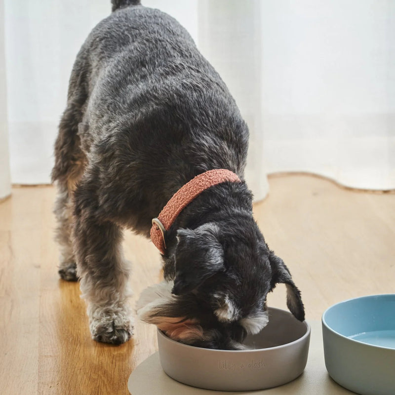 Lilly + Dash Collar Terracotta