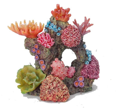 Multicolour Coral - Just For Pets Australia