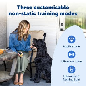 PetSafe Collarless Trainer
