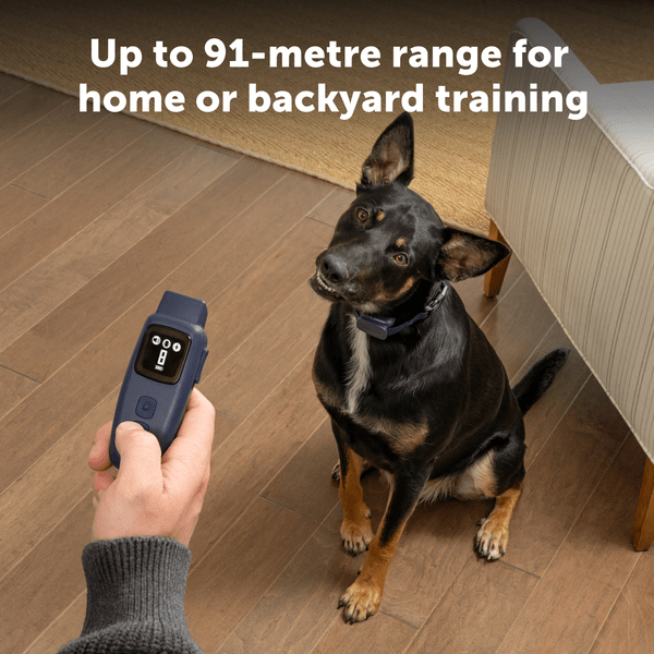PetSafe Basic Dog Trainer with Remote