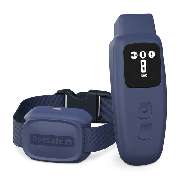 PetSafe Basic Dog Trainer with Remote