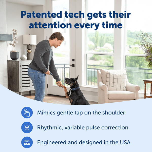 PetSafe Basic Dog Trainer with Remote