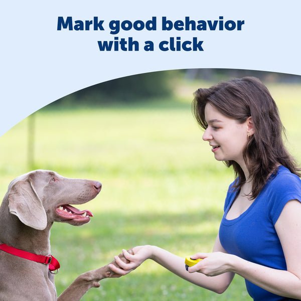 PetSafe Clik-R Training Tool