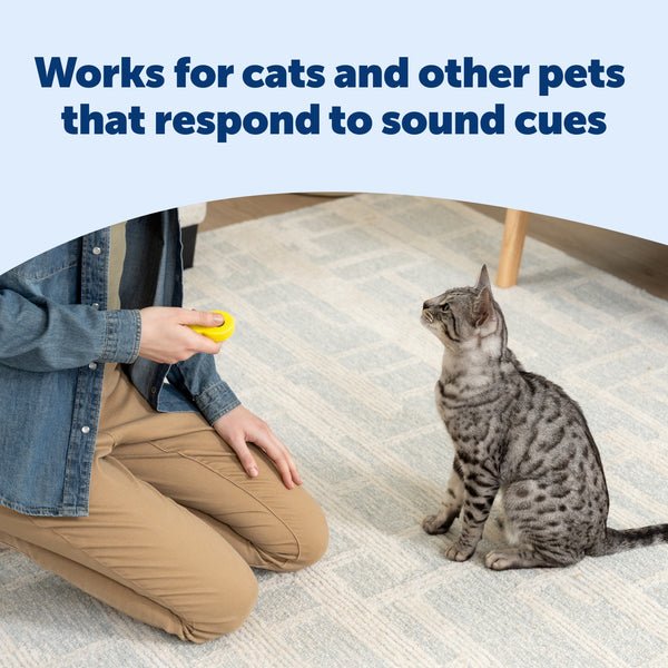 PetSafe Clik-R Training Tool
