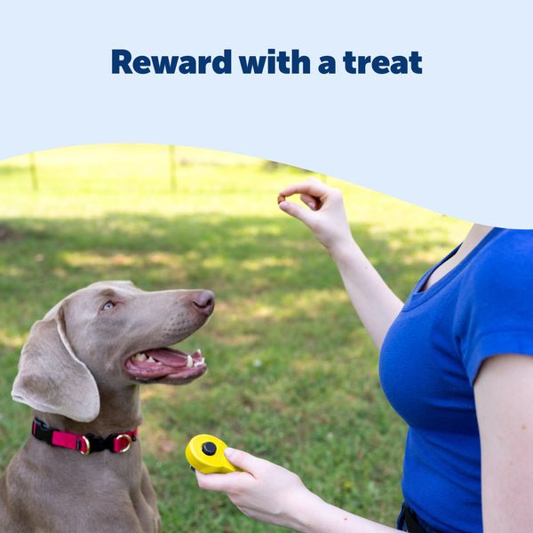 PetSafe Clik-R Training Tool