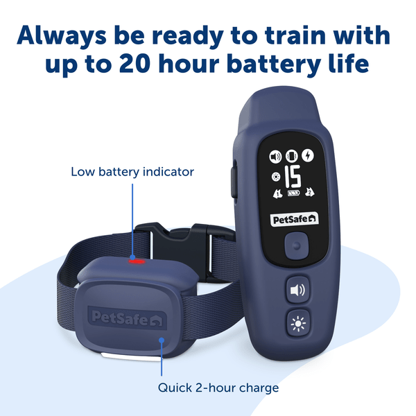 PetSafe Core Dog Trainer with Remote