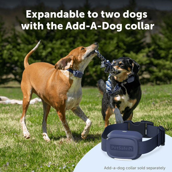 PetSafe Core Dog Trainer with Remote