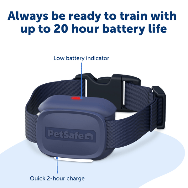 PetSafe Core Trainer Add-A-Dog Collar