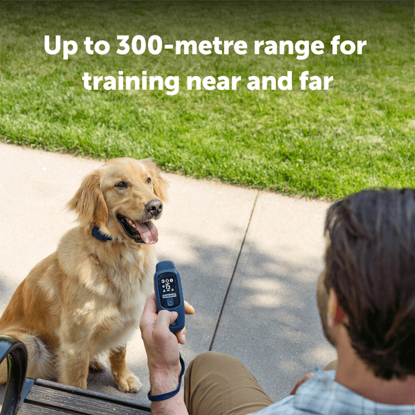 PetSafe Core Trainer Add-A-Dog Collar