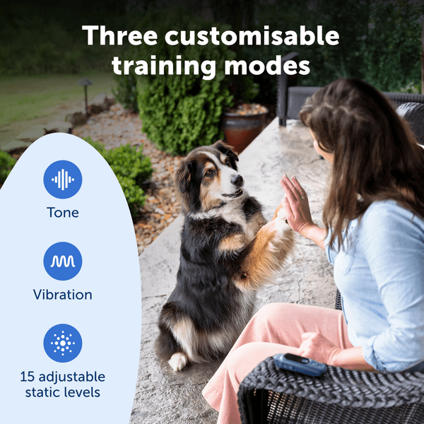 PetSafe Core Trainer Add-A-Dog Collar