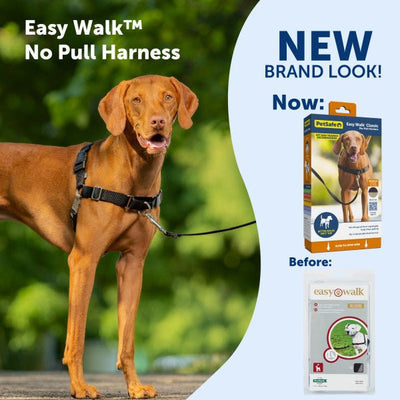 PetSafe® Easy Walk™ Harness Black - Just For Pets Australia