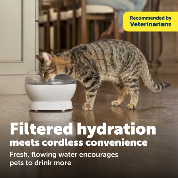 PetSafe HydroSphere 1.7L Cordless Pet Fountain