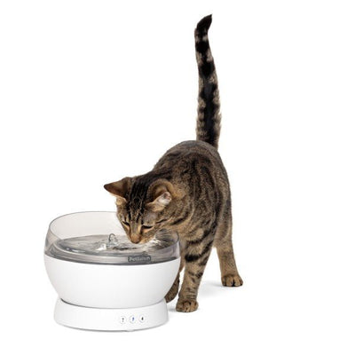 PetSafe HydroSphere 1.7L Cordless Pet Fountain - Just For Pets Australia