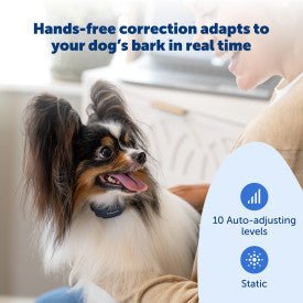 PetSafe NanoBark 2.0 Bark Collar for Small Dogs