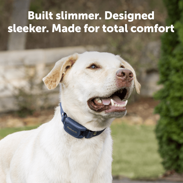 PetSafe Pro Dog Trainer with Remote