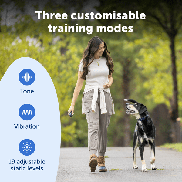 PetSafe Pro Dog Trainer with Remote