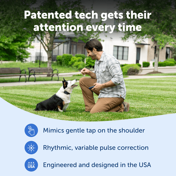 PetSafe Pro Dog Trainer with Remote