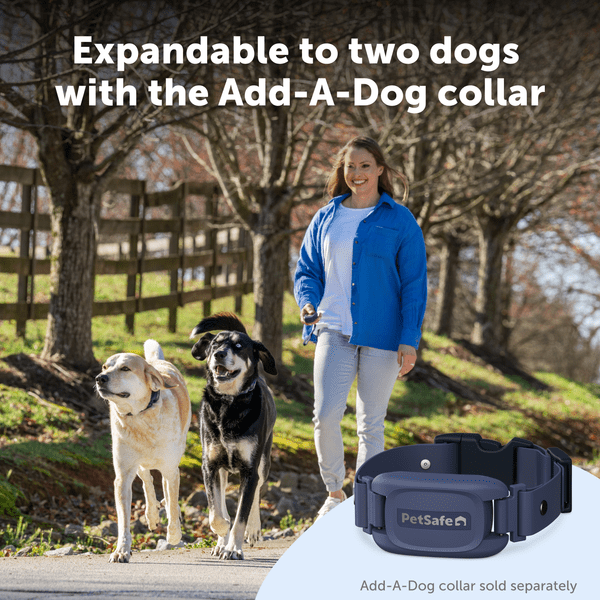 PetSafe Pro Dog Trainer with Remote
