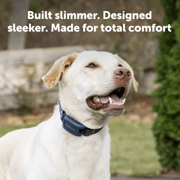 PetSafe Pro Trainer Add-A-Dog Collar