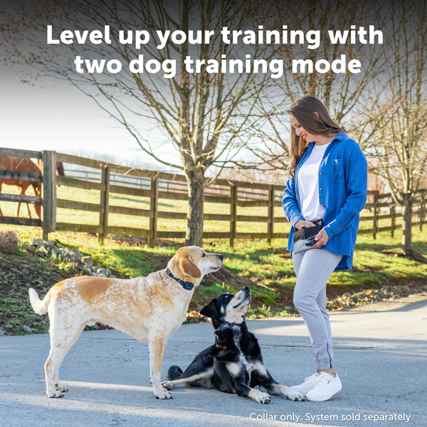 PetSafe Pro Trainer Add-A-Dog Collar