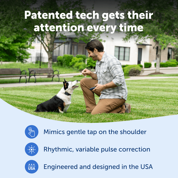 PetSafe Pro Trainer Add-A-Dog Collar