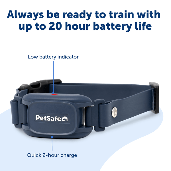 PetSafe Pro Trainer Add-A-Dog Collar