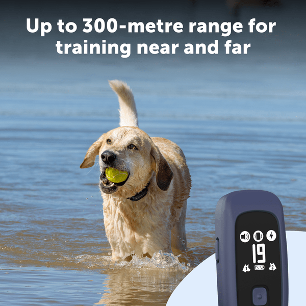 PetSafe Pro Trainer Add-A-Dog Collar