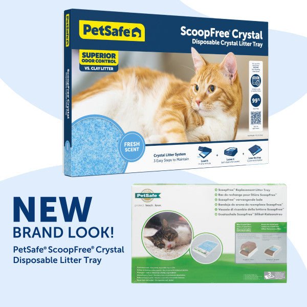 Scoopfree Litter Box